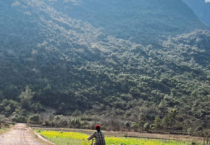西藏二级心理咨询师报名和考试费用分别多少钱
