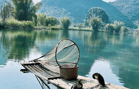 心理咨询师证价格