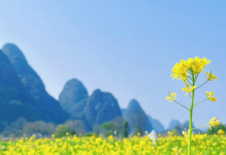 在潮州三级心理咨询师证多少钱